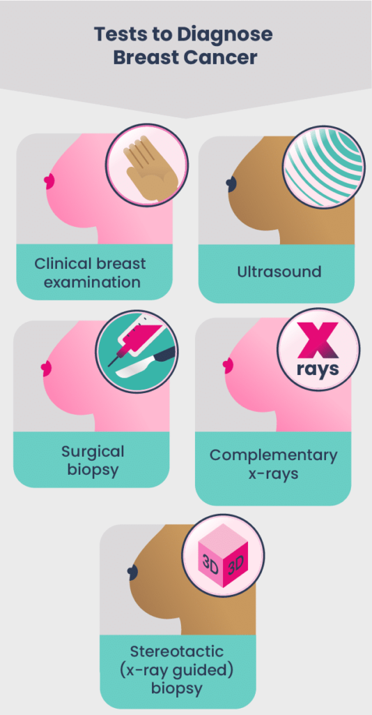 Breast cancer examinations and diagnosis